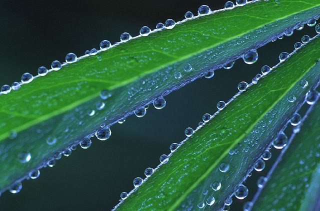 Klimapartner