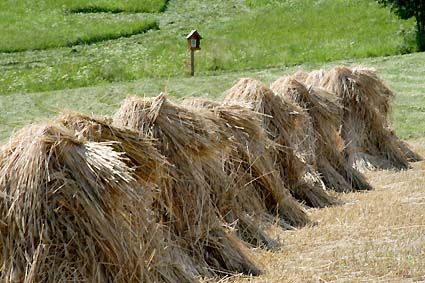 Produkte, verschiedene 