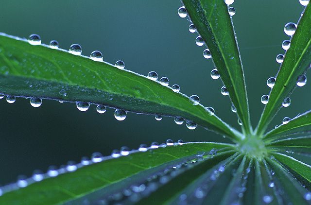 Agrarberatung & -technik