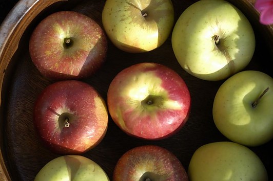 frutta