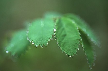 Partnerbetriebe, Handwerk, Industrie...