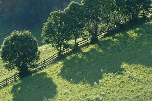 immobiliari - investimenti