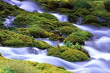 Gemeinde Welsberg Taisten - Wasser